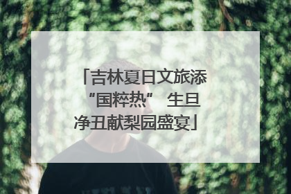 吉林夏日文旅添“国粹热” 生旦净丑献梨园盛宴