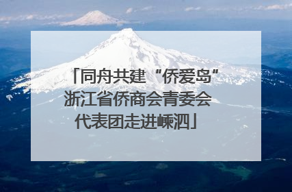 同舟共建“侨爱岛” 浙江省侨商会青委会代表团走进嵊泗