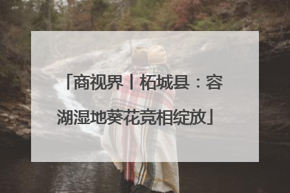 商视界丨柘城县：容湖湿地葵花竞相绽放