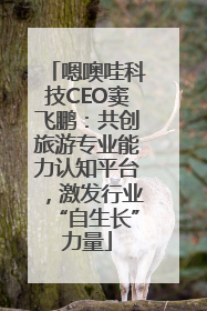嗯噢哇科技CEO窦飞鹏：共创旅游专业能力认知平台，激发行业“自生长”力量