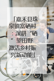 嘉禾县珠泉镇富硒村：深耕“硒”望田野 激活乡村振兴新动能