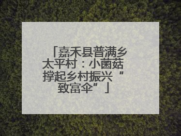 嘉禾县普满乡太平村：小菌菇撑起乡村振兴“致富伞”