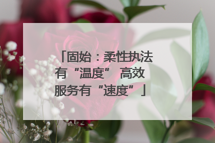 固始：柔性执法有“温度” 高效服务有“速度”