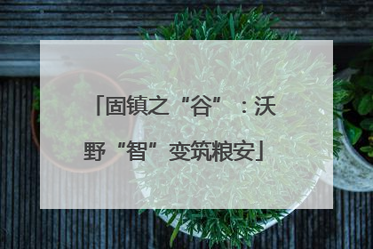 固镇之“谷”：沃野“智”变筑粮安