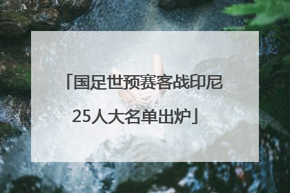 国足世预赛客战印尼25人大名单出炉