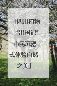 四川植物“出国记” 市民沉浸式体验自然之美