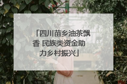 四川苗乡油茶飘香 民族类资金助力乡村振兴