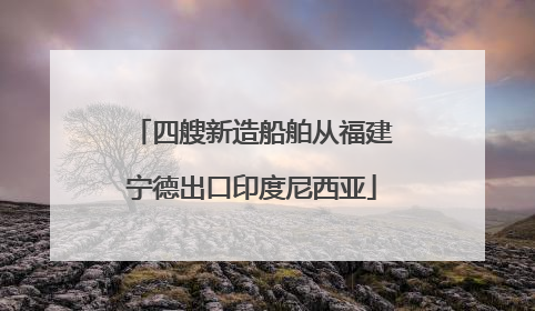 四艘新造船舶从福建宁德出口印度尼西亚