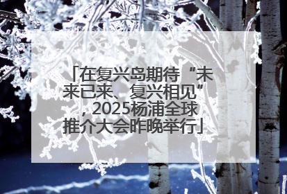 在复兴岛期待“未来已来、复兴相见”，2025杨浦全球推介大会昨晚举行