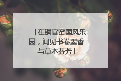 在铜官窑国风乐园，闻见书卷墨香与草本芬芳