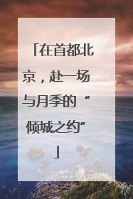 在首都北京，赴一场与月季的“倾城之约”