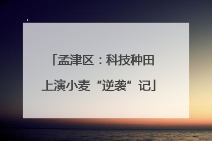 孟津区：科技种田 上演小麦“逆袭”记
