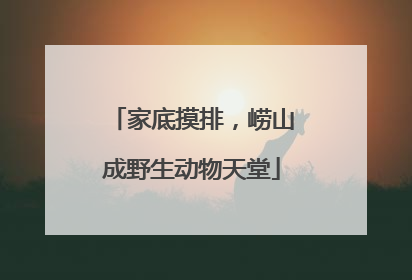 家底摸排，崂山成野生动物天堂