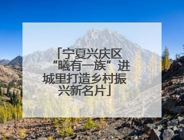 宁夏兴庆区 “曦有一族”进城里打造乡村振兴新名片