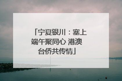 宁夏银川：塞上端午聚同心 港澳台侨共传情