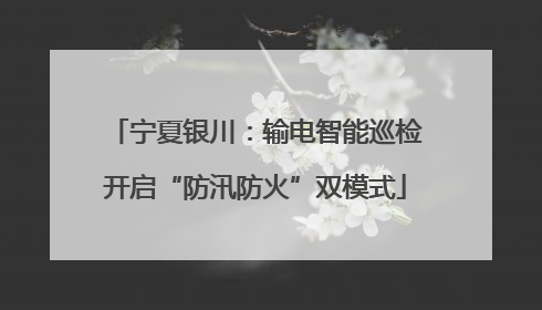 宁夏银川：输电智能巡检开启“防汛防火”双模式