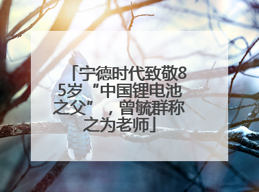 宁德时代致敬85岁“中国锂电池之父”，曾毓群称之为老师
