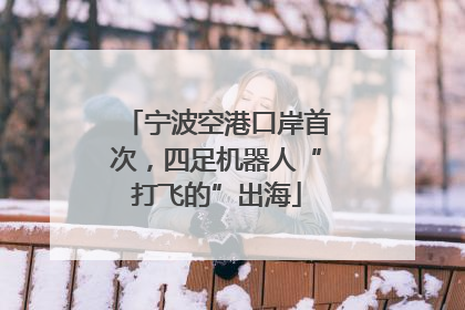 宁波空港口岸首次，四足机器人“打飞的”出海