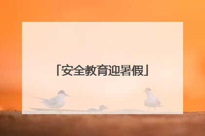 安全教育迎暑假