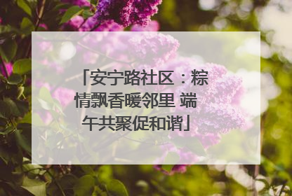 安宁路社区：粽情飘香暖邻里 端午共聚促和谐