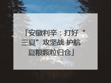 安徽利辛：打好“三夏”攻坚战 护航夏粮颗粒归仓