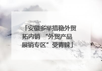 安徽多举措稳外贸拓内销 “外贸产品展销专区”受青睐