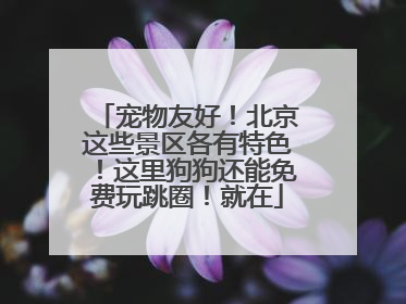 宠物友好！北京这些景区各有特色！这里狗狗还能免费玩跳圈！就在