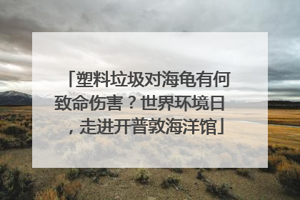 塑料垃圾对海龟有何致命伤害？世界环境日，走进开普敦海洋馆