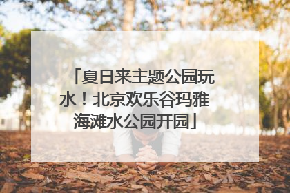夏日来主题公园玩水！北京欢乐谷玛雅海滩水公园开园