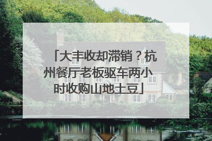 大丰收却滞销？杭州餐厅老板驱车两小时收购山地土豆