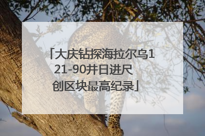 大庆钻探海拉尔乌121-90井日进尺 创区块最高纪录