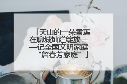 天山的一朵雪莲在聊城灿烂绽放——记全国文明家庭“詹春芳家庭”