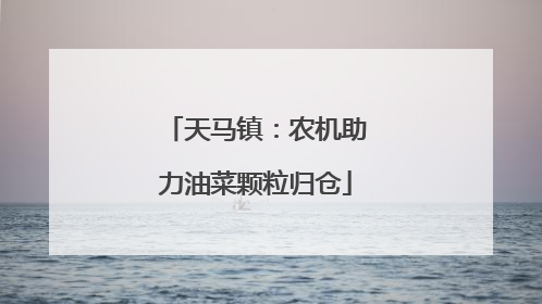 天马镇：农机助力油菜颗粒归仓
