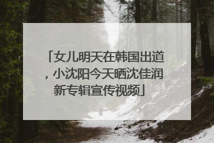 女儿明天在韩国出道，小沈阳今天晒沈佳润新专辑宣传视频