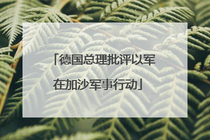 德国总理批评以军在加沙军事行动