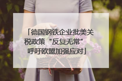德国钢铁企业批美关税政策“反复无常” 呼吁欧盟加强应对