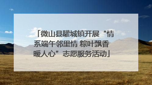微山县驩城镇开展“情系端午邻里情 粽叶飘香暖人心”志愿服务活动