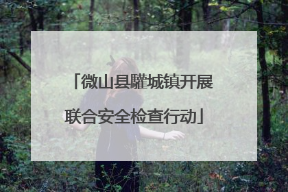 微山县驩城镇开展联合安全检查行动