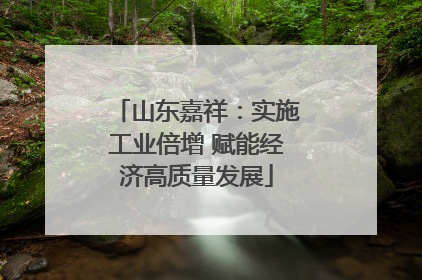 山东嘉祥：实施工业倍增 赋能经济高质量发展