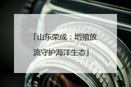 山东荣成：增殖放流守护海洋生态