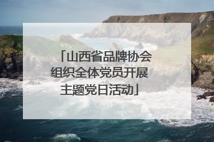 山西省品牌协会组织全体党员开展主题党日活动