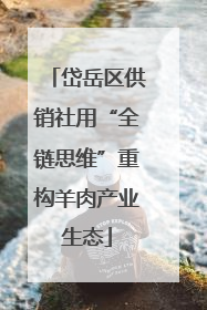 岱岳区供销社用“全链思维”重构羊肉产业生态