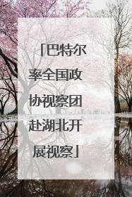巴特尔率全国政协视察团赴湖北开展视察
