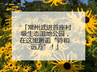 常州武进首座村级生态湿地公园，在这里邂逅“诗和远方”！