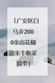 广安区白马乡2000余亩花椒迎来丰收采摘季