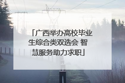 广西举办高校毕业生综合类双选会 智慧服务助力求职