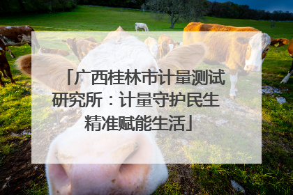 广西桂林市计量测试研究所：计量守护民生 精准赋能生活