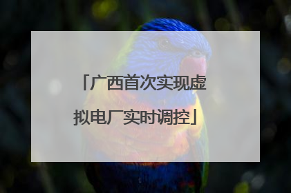 广西首次实现虚拟电厂实时调控