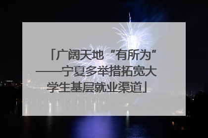 广阔天地“有所为”——宁夏多举措拓宽大学生基层就业渠道