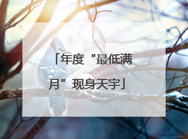 年度“最低满月”现身天宇